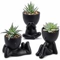 Der Rose 3Pcs Fake Succulents Plants Artificial for Black Bathroom Bedroom Home Living Room Halloween Decor Aesthetic Indoor